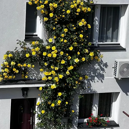 Apartamenty Szyper * 亚斯塔尔尼亚